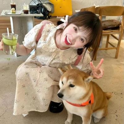 失落之歌